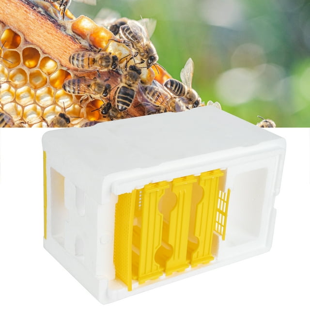 Bee Breeding Box,Queen Bee Mating Box Beehive Box Queen Bee Mating Box Top Tier Quality