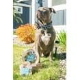 thumbnail image 3 of Claudias Canine Bakery Happy Birthday - Blue , 11oz, 3 of 4