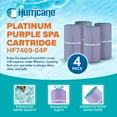 thumbnail image 2 of Hurricane 16 Pack HF7469-04P Platinum Purple Pool Filter Cartridge Replacement, 2 of 6