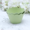 thumbnail image 4 of 24pcs Solid Color Cupcake Wrappers Paper Baking Cup Liners Cake Decoration Wraps Holder (Green), 4 of 5