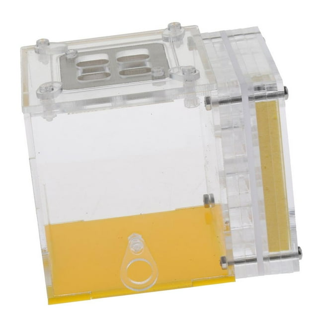Nest Feeding Farm Caja de Formicarium Cuadrada Zulema Nido de la vivienda de la hormiga del insecto