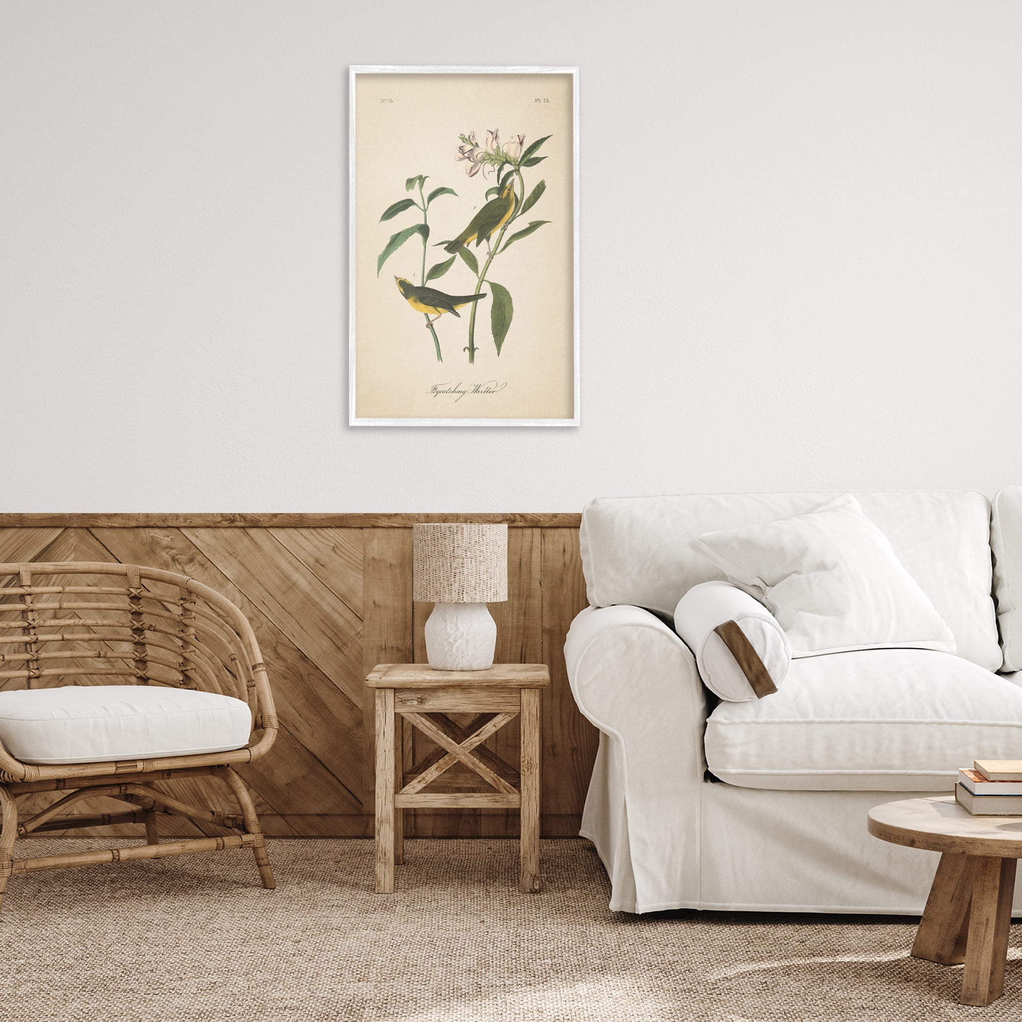 Stupell Industries Vintage Warbler Diagram Animals & Insects Painting White Framed Art Print Wall Art, 20 x 30