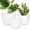 White, variant on Plant Pots 12/10/9 inch Set of 3, Flower Pots with Multi Mesh Drainage Holes, Large Planters for Indoor Outdoor Garden Plants and Flowers. (White)