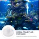 thumbnail image 3 of NUOLUX 4Ud Bases De Cerámica Para Coral Frag Soporte Ideal Para Acuarios Y Peceras, 3 of 8