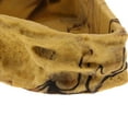 thumbnail image 3 of Resina Reptil Y Anfibios Waterer Food Water Bowl Dispenser Feeding Tool 3, 3 of 9