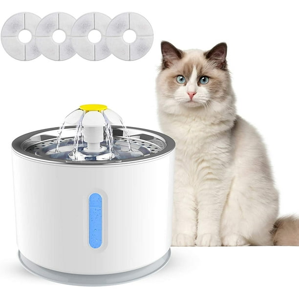 Fountain hotsell for cats