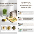 thumbnail image 6 of Indoor/Outdoor Hydroponic Cat Grass Planter - Grow Cat Grasses Easily, 6 of 7