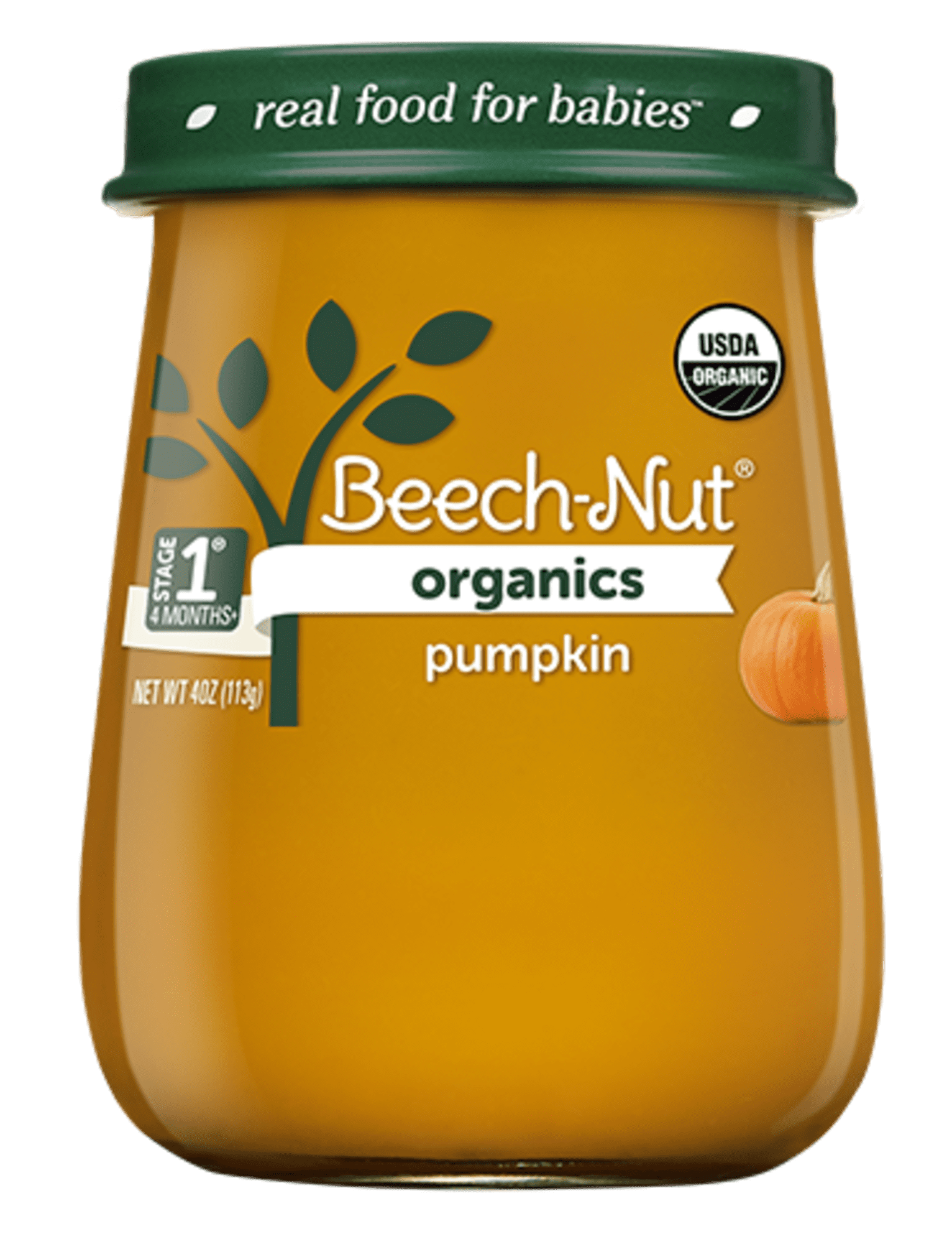 Beech Nut Organics Stage 1 Baby Food Pumpkin 4 Oz Jar beech-nut-organics-stage-1-baby-food-pumpkin-4-oz-jar