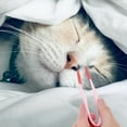 thumbnail image 5 of LOLIPPYY Compact Pink Pet Eye Cleaning Brush for Daily Tear Stain and Facial Grooming, 5 of 8