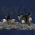 thumbnail image 3 of CafePress - Monster Buck Deer Dark T Shirt - Men's Classic Graphic Cotton T-Shirt, 3 of 4