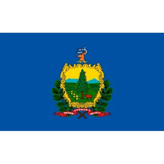 Vermont Flag VT State Banner Pennant 2x3 foot Indoor Outdoor 24x36 inches New