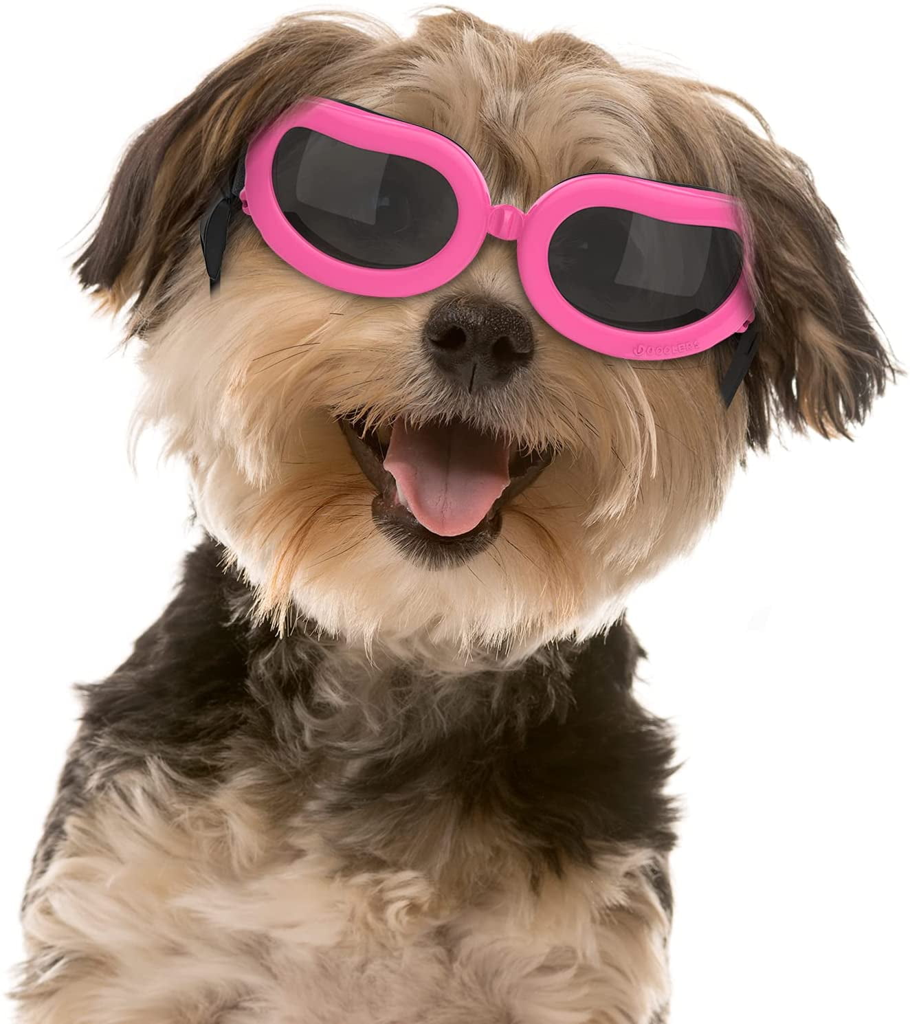 tiny dog sunglasses
