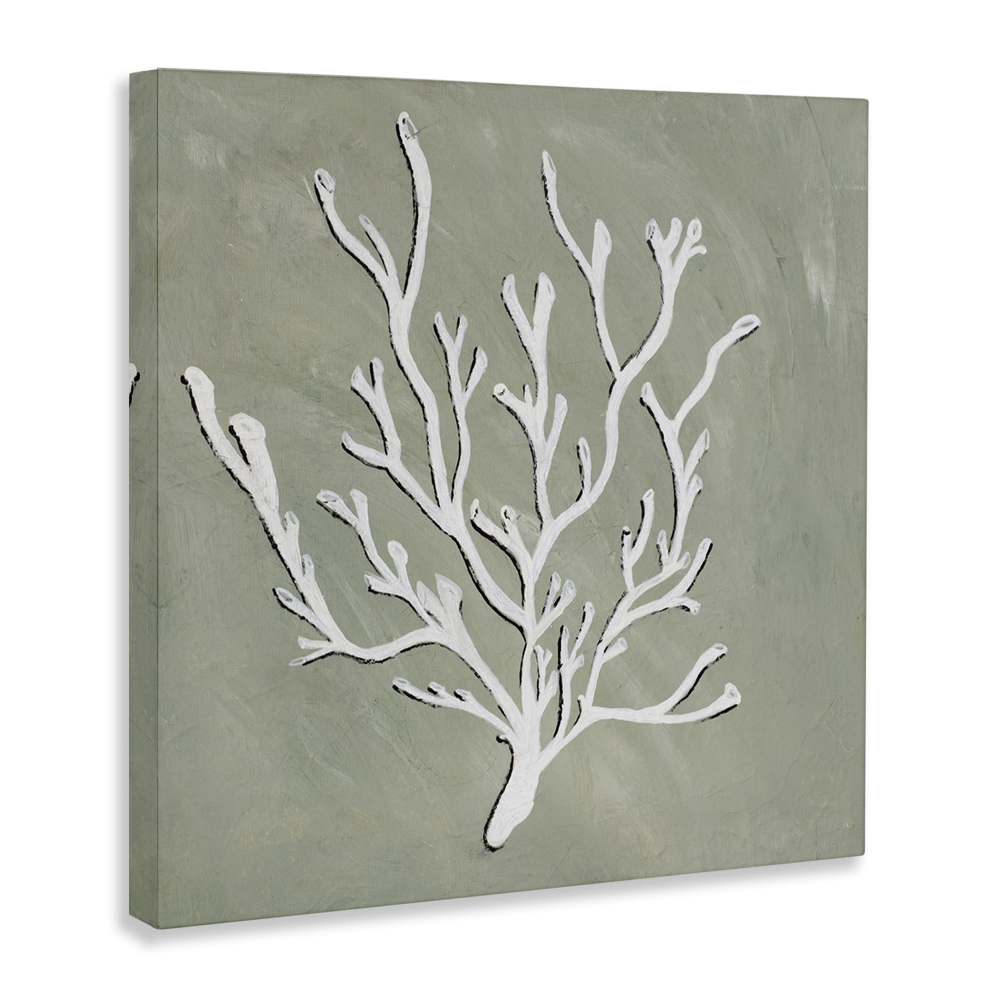 Stupell Industries White Coral Sprig Coastal Painting Gallery Wrapped Canvas Art Print Wall Art, 30 x 30