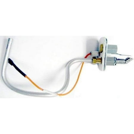 

22024 LP Gas -electrode Assembly