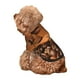 thumbnail image 5 of Fotbe Coffee Beans Sudadera con Estampado para Perros Pequeños – Suéter con Capucha para Mascotas, Tela Suave de Forro Polar con Bolsillo-Medium, 5 of 7