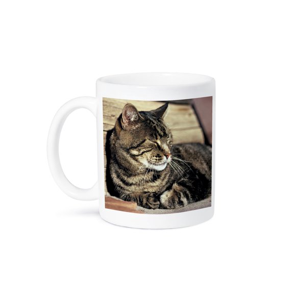 3dRose, Utah, Capitol Reef NP. Sleeping tabby cat - US45 RER0114 - Ric Ergenbright, 11oz Mug