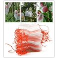 thumbnail image 5 of 10 x 15 cm Fruit Protection Bag, 100 Pieces Grape Protection Bag, Nylon Insect Bag, To Protect Plants, Fruits, 5 of 5