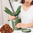 thumbnail image 6 of EFISPSS 6" Ceramic Plant pot with Vertical Flutes–Evergreen，Orchid Pots with hole and drainage Tray, 6 of 6