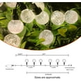 thumbnail image 2 of Bibana 35 FT Globe String Lights Outdoor Commercial Grade Light with 20 G50 Shatterproof LED Bulbs Waterproof Extendable for Indoor Outdoor Wedding Garden Party Christmas Trees Decoration (Warm), 2 of 7