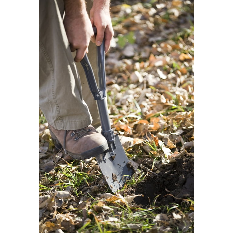 Coleman shovel 2024