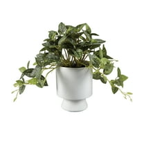 Artificial Trailing Leaf Plant in Ceramic Pot, 9 in H x 7.5 in W x 7.5 in D