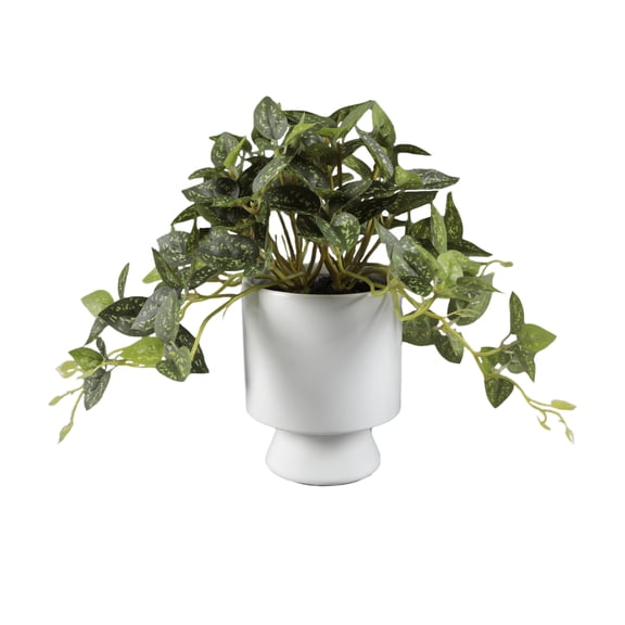 Artificial Trailing Leaf Plant in Ceramic Pot, 9 in H x 7.5 in W x 7.5 in D