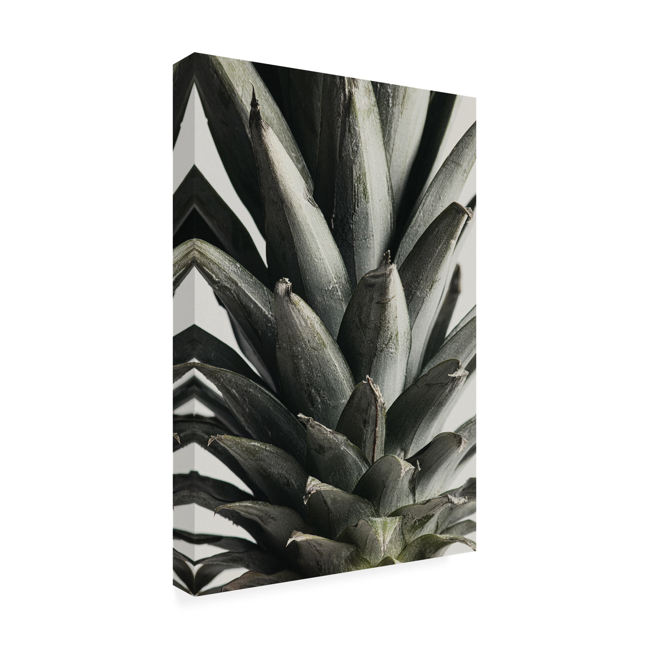 Pictufy Studio III 'Pineapple Close Up' Canvas Art - 22 x 32 Inches