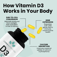 thumbnail image 5 of Luma Nutrition D3 + K2 Vitamin 10000 IU - Bone and Heart Health Supplement - Max Strength Immune Support and Calcium Absorption - 60 Softgels, 5 of 10
