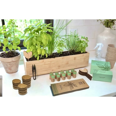 FLEUR DU BIEN Indoor Herb Garden Seed Kit   Planter, 10 Herb Seed Packs Organic : Basil Thyme Parsley Cilantro Mint Oregano other Seed, Window Gardening Set, Complete Herb Garden Kit, DIY Grow Kits