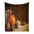 thumbnail image 1 of Autumn Pumpkin Soft Flannel Fleece Throw Blanket, Rustic Fall Still Life Photo with Fruits Pine Cones and Leaves in Basket, Cozy Plush for Indoor and Outdoor Use, 50" x 60", Multicolor, by Ambesonne, 1 of 6