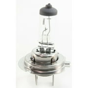 Geelife Halogen Headlight Bulb H7 type Hi or Lo Beam 55W 12V Right or Left Side