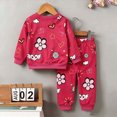 thumbnail image 4 of HCNTES Toddler Girls Clothes 18 24 Months 2T 3T 4T 5T Fall Winter Outfits Baby Kids Girls Long Sleeve Round Neck Flower Heart Print Sweatshirt Tops Long Pant Sets, 4 of 7