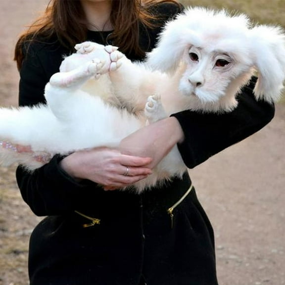 Olilia Plush Stuffed Doll, Endless Falcolon Doll, Cute White Dragon Plush Toy, Handmade Plush Toy.