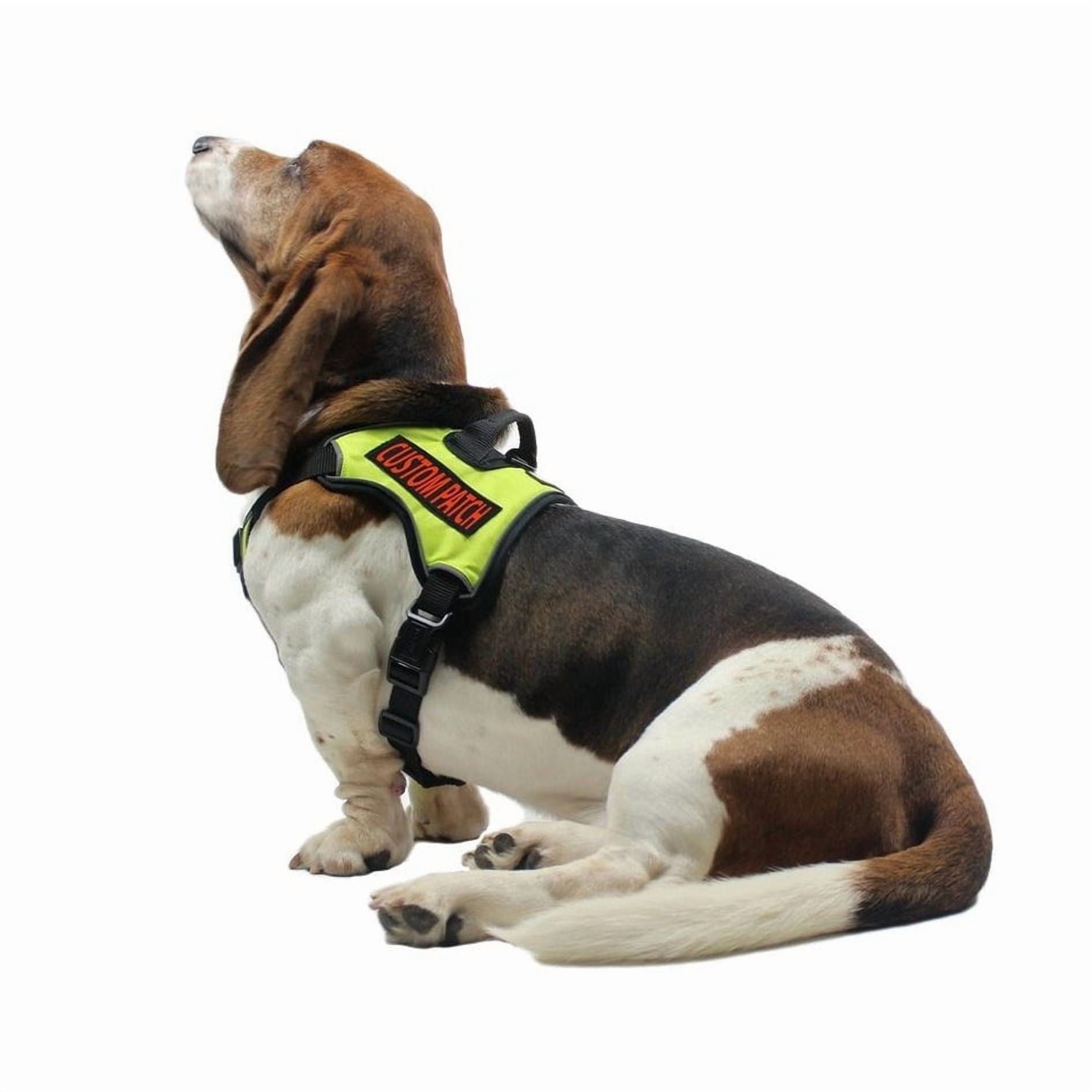 Custom Personalized Removable Patch (2 per pack) Tag For Dog Harness and Collar