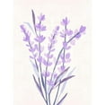 thumbnail image 3 of Wang, Melissa 12x14 Black Modern Framed Museum Art Print Titled - Lavender Land I, 3 of 5
