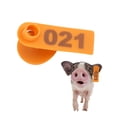 thumbnail image 1 of 1-100 Number Plastic Livestock Ear Tag Animal Tag for Goat Sheep Pig (Orange), 1 of 9