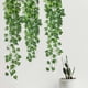 thumbnail image 3 of 9 Piezas de Vid de Colgante Artificial de 2,95 Pies Plantas Artificiales Colgantes de Pared Verde para Interior y Exterior JardíN de Casa, 3 of 5