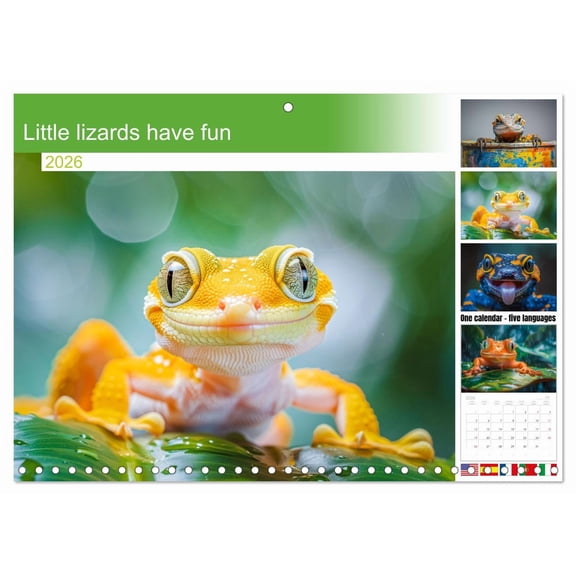 Little lizards have fun (Monthly Wall Calendar 2026 16.5 x 23.4 (open)), CALVENDO 14 Month Calendar