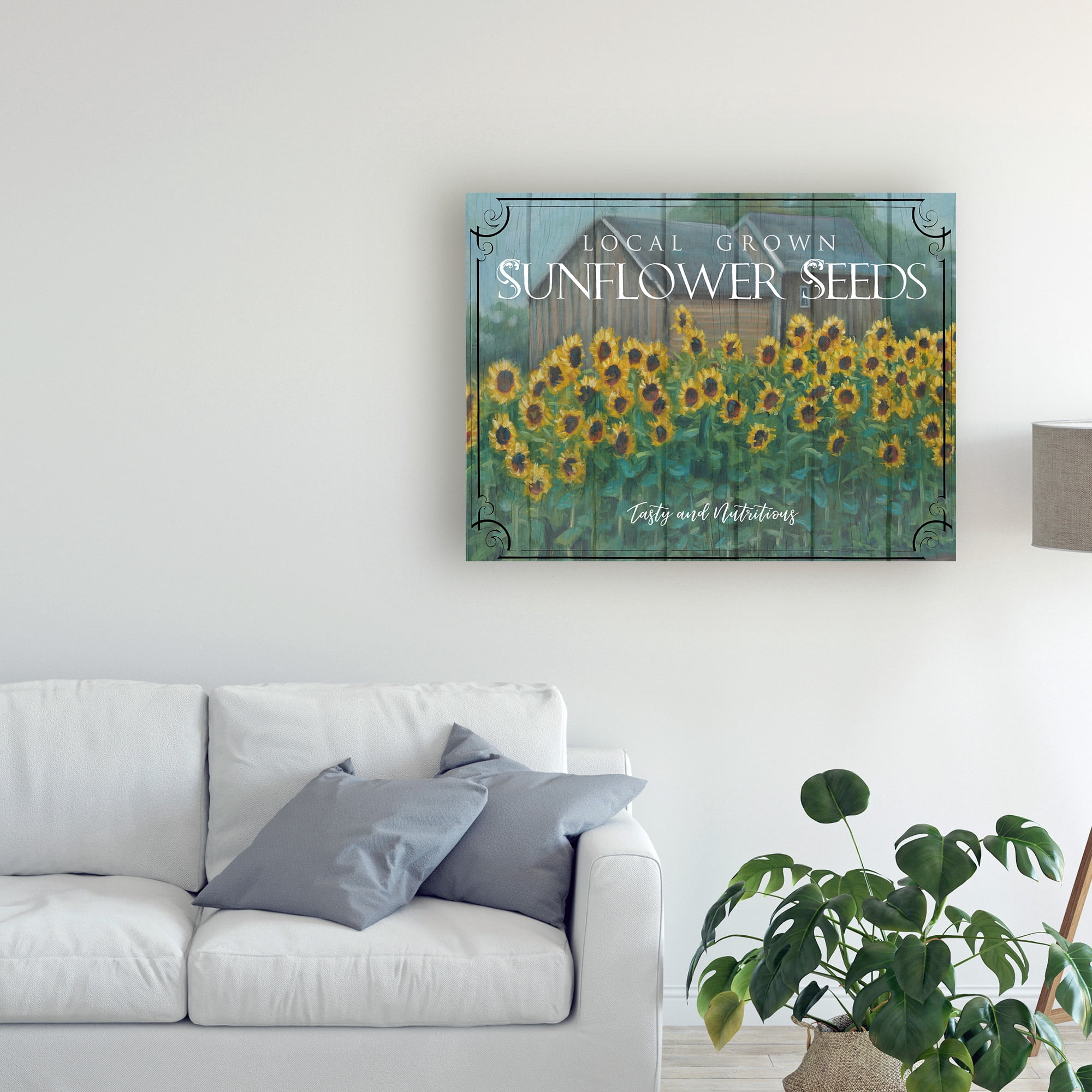 Trademark Fine Art 'Sunflower Seeds' Canvas Art by Marnie Bourque