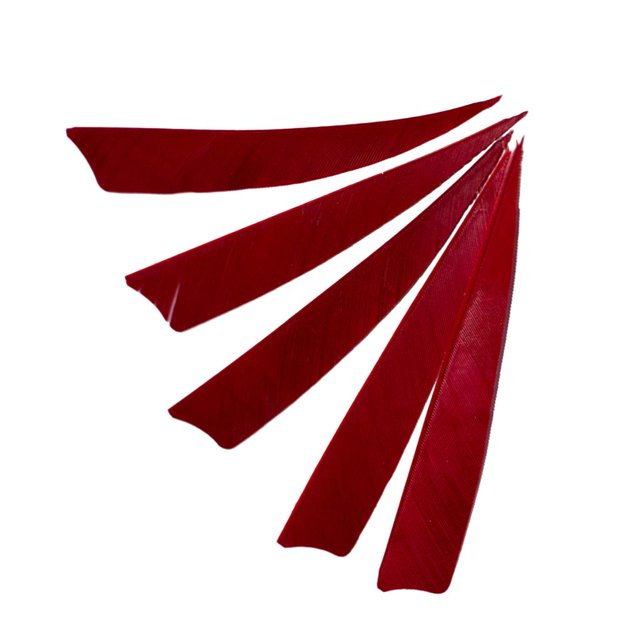 5pcs Herramientas de Arqeuro Natural Universal Escudo Corte Deporte a Aire Libre rojo Macarena Flecha Fletching
