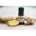 thumbnail image 5 of Plantlife Ginger Aromatherapy Essential Oil - Straight From The Plant 100% Pure Therapeutic Grade - No Additives or Fillers - 10 ml, 5 of 5
