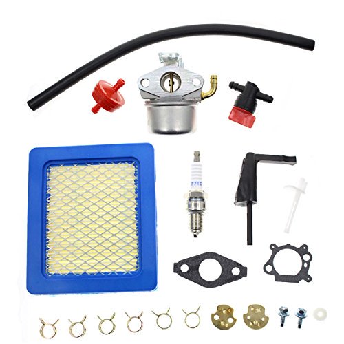 Carbhub Carburetor for Briggs & Stratton 791077 696981 Craftsman Tiller
