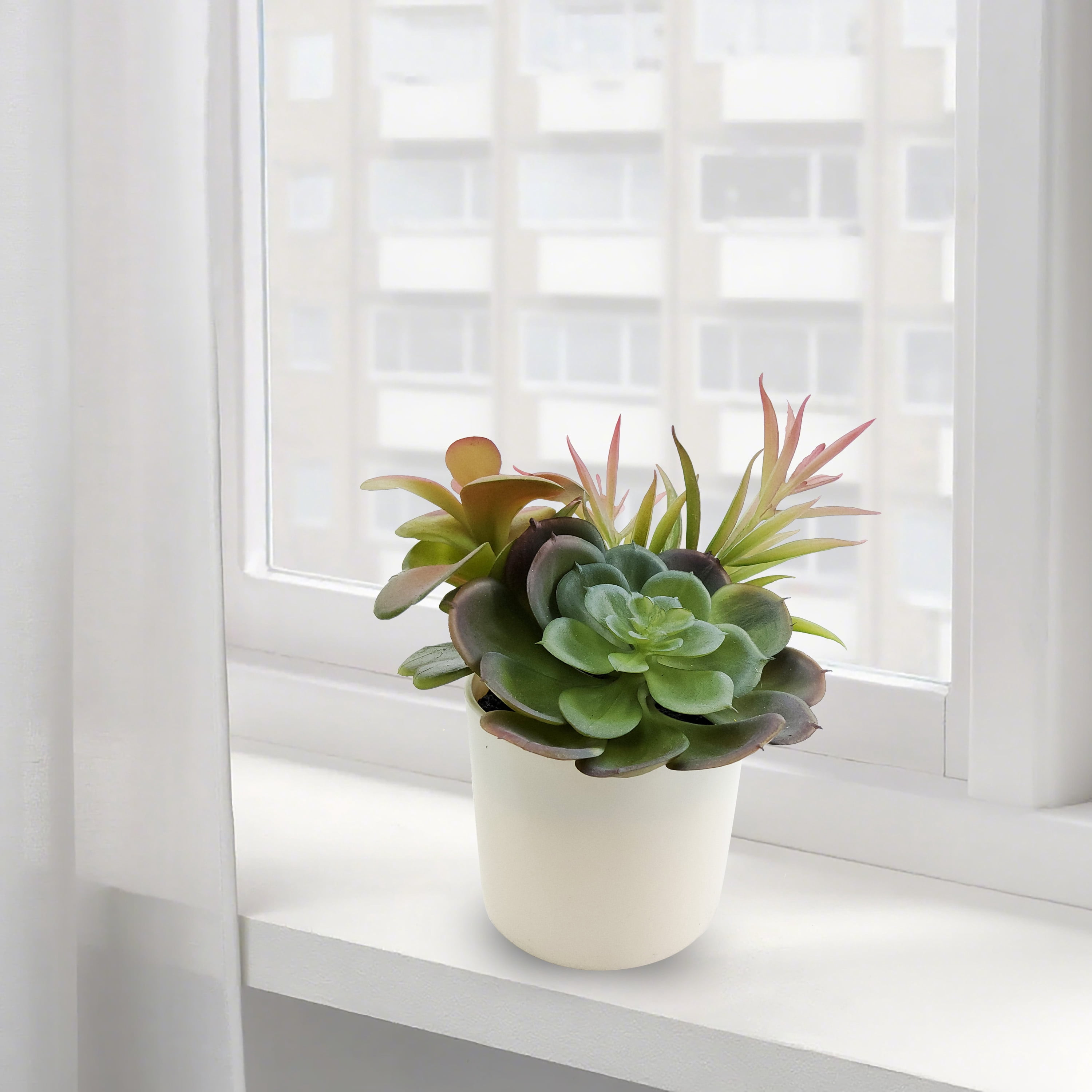 Mainstays 6.5in Indoor Artificial Succulents in Pot, Green Color.