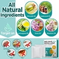 thumbnail image 2 of 8 Pack Bed Bug Repellent Natural Citronella & Lemongrass Plant-Based Formula Deter Bugs Eggs Lasting Protection 2 Months for Mattress Furniture Luggage Non-Toxic Family Safe, 2 of 4