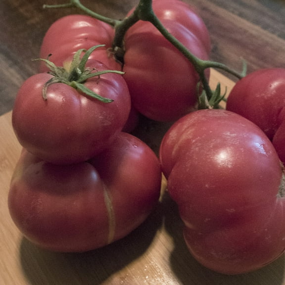 Containers Choice Pink F1 Hybrid Tomato Seeds - 300 Mg Packet ~70 Seeds - Non-GMO, F1 Hybrid - Vegetable Garden - Lycopersicon esculentum