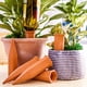 thumbnail image 2 of Juego de 12 regadores automáticos para plantas para día festivo, dispositivos de riego de plantas de terracota para botellas de vino, ideal para plantas de interior y exterior, 2 of 5