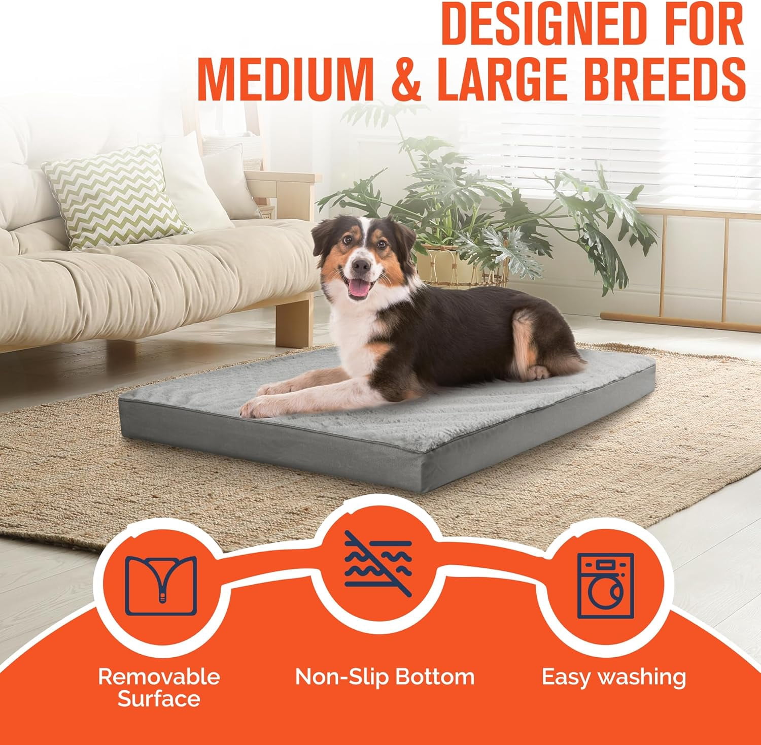 General Orthopedic Dog Bed for Large Dogs, Egg Crate Foam & Removable Cover, Washable Pet Bed, 36 x 27 Inch, Gray