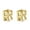 Gold R, variant on Letter R Initial Chunky Hoop Earrings for Women 18K Gold Plated Geometric Cartilage Huggie Hoops Earring