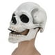 thumbnail image 4 of Máscara de calavera, máscara de calavera de Halloween, máscara de látex completa, máscara de disfraz, características mejoradas, 4 of 8
