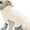 White, variant on Fashiom Pets Solid Winter Dog Sweater Knitted Warm Sleeveless Pet Clothes